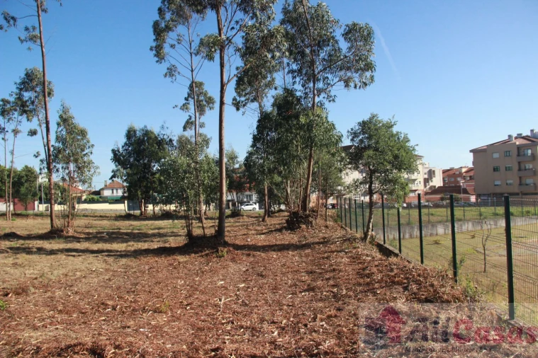 Terreno para Venda em Esmoriz Foto 20