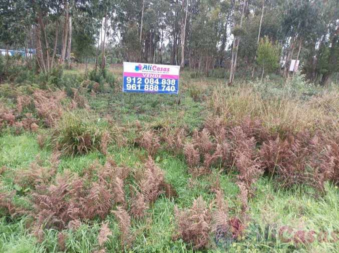 Terreno para Venda em Esmoriz Foto 29