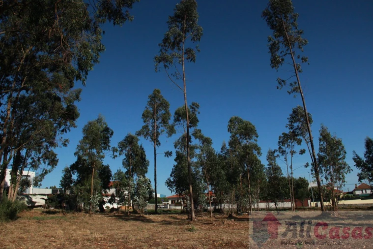 Terreno para Venda em Esmoriz Foto 18