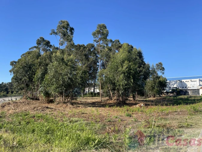 Terreno para Venda em Esmoriz Foto 9