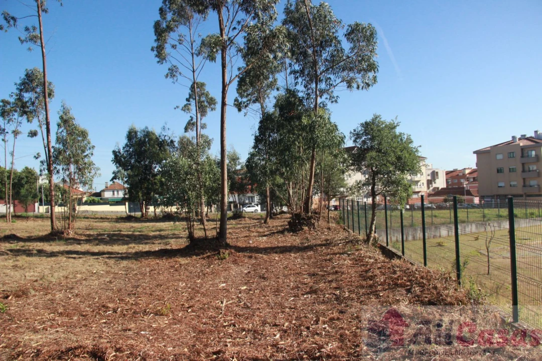 Terreno para Venda em Esmoriz Foto 20