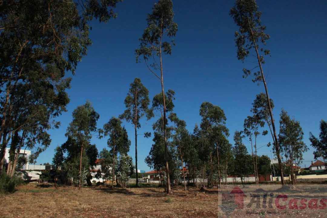 Terreno para Venda em Esmoriz Foto 18