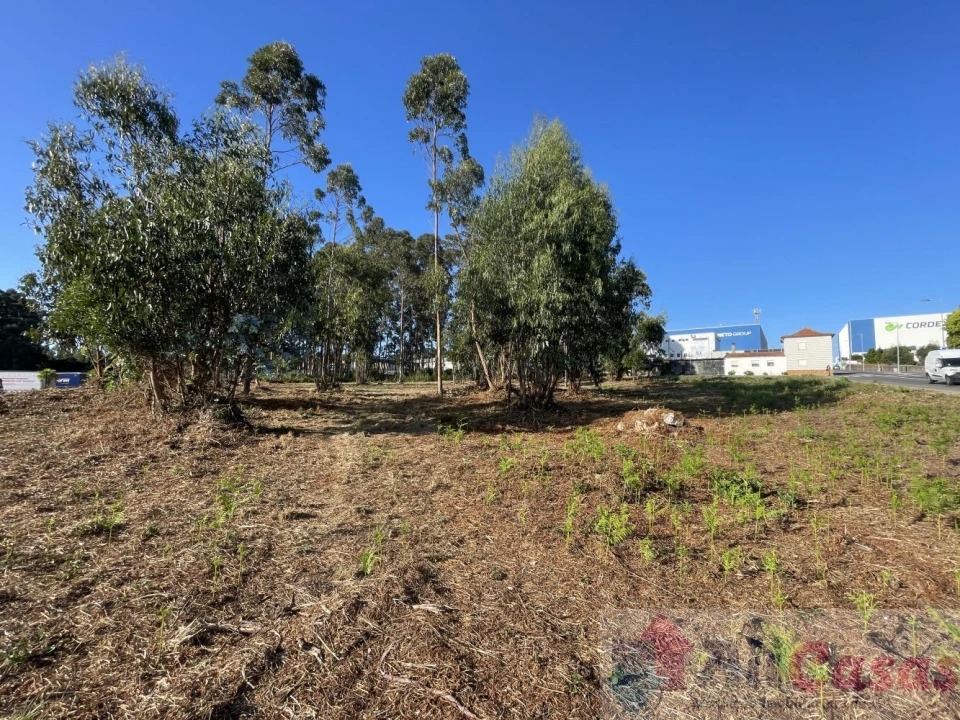 Terreno para Venda em Esmoriz Foto 24