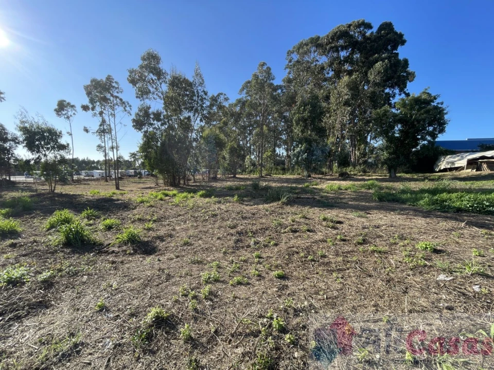 Terreno para Venda em Esmoriz Foto 8