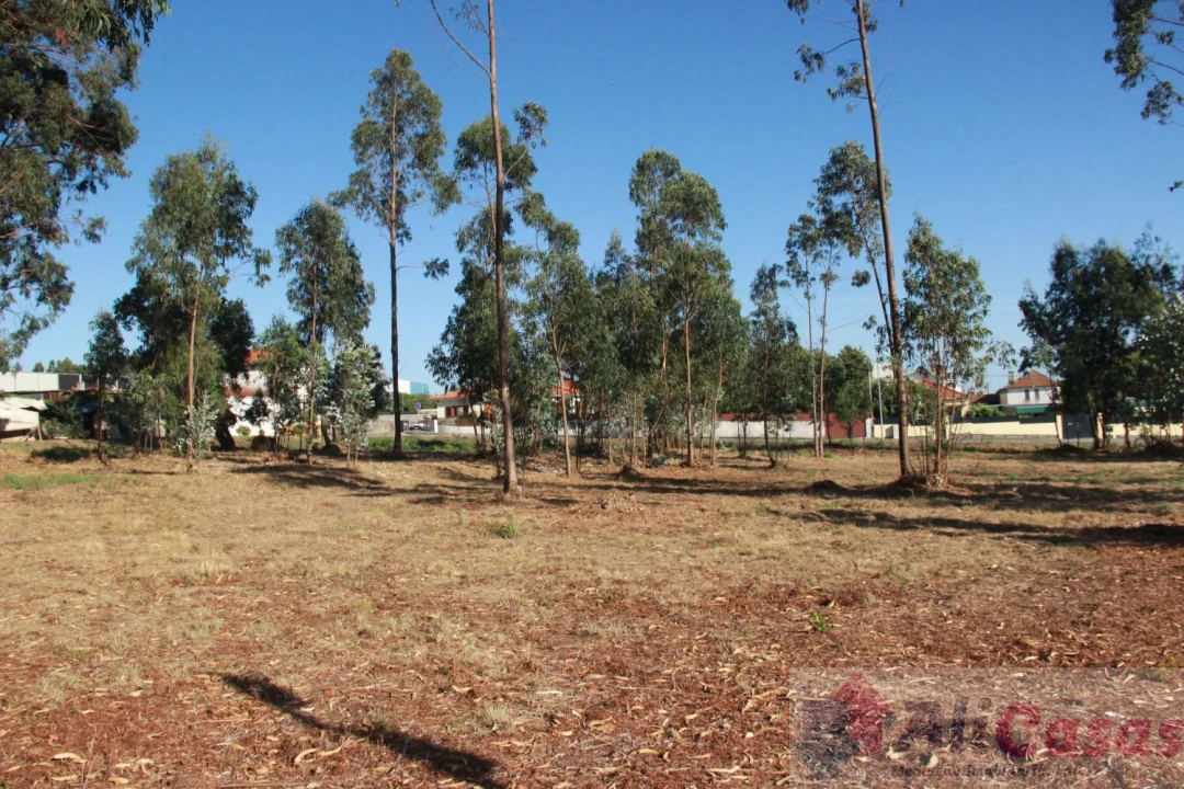 Terreno para Venda em Esmoriz Foto 21