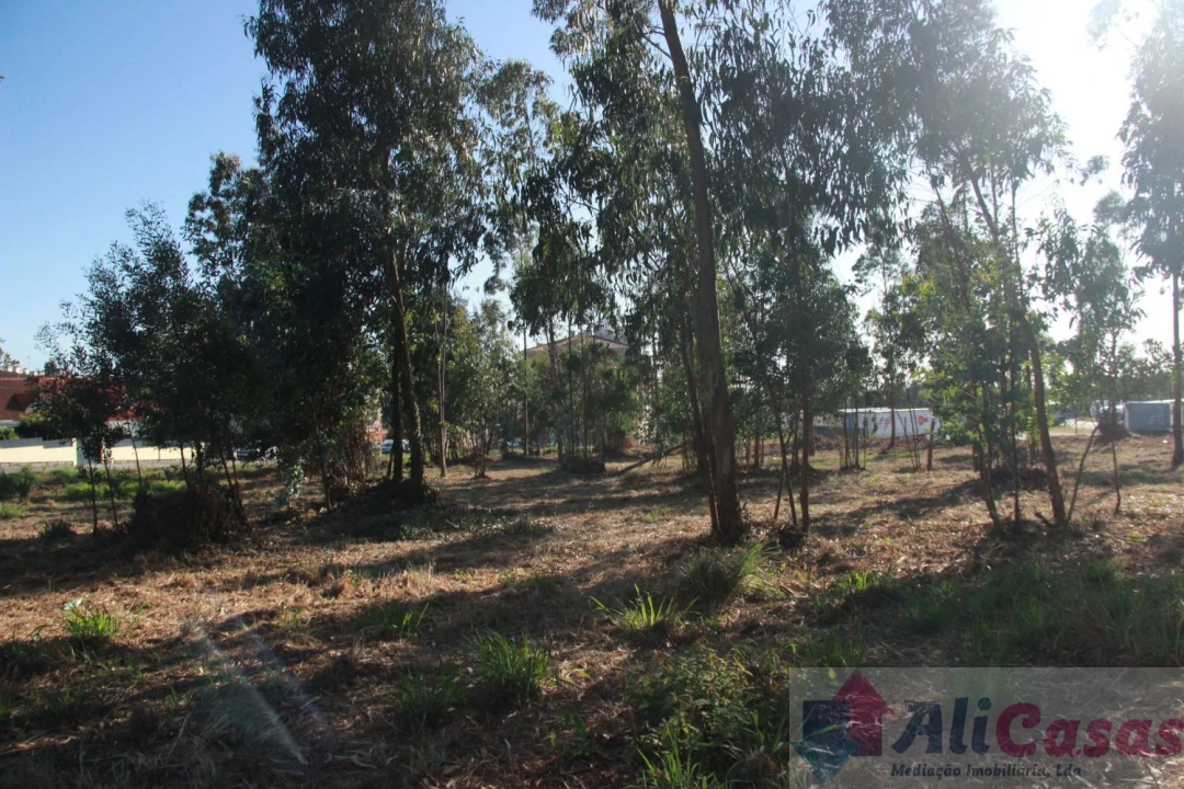 Terreno para Venda em Esmoriz Foto 14