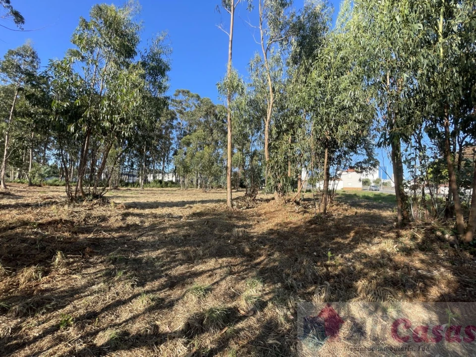 Terreno para Venda em Esmoriz Foto 26