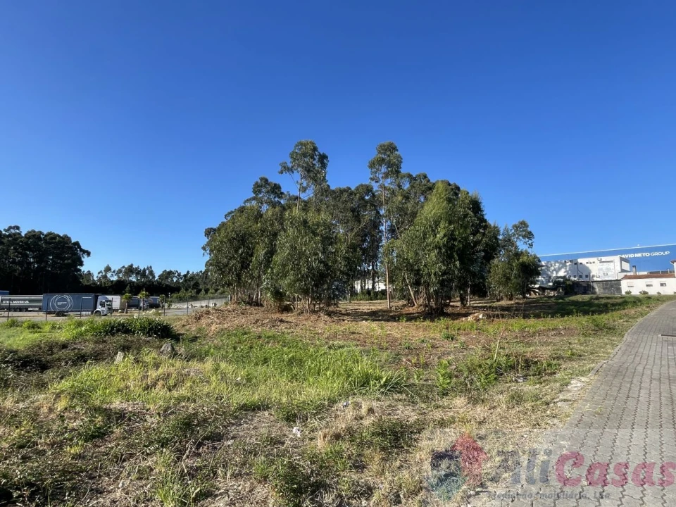 Terreno para Venda em Esmoriz Foto 11