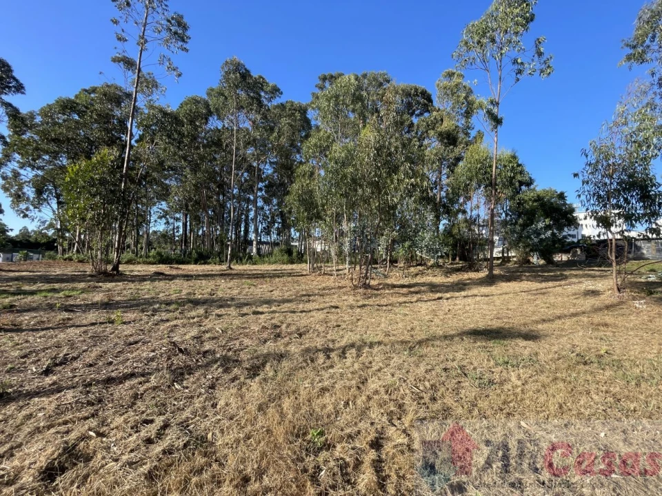 Terreno para Venda em Esmoriz Foto 28