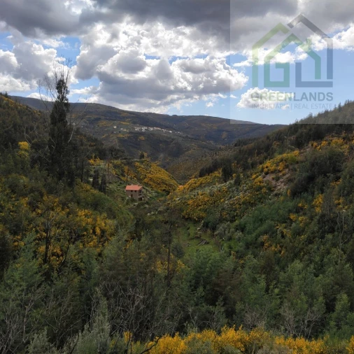 Quinta T1 para Venda em Benfeita Foto 4