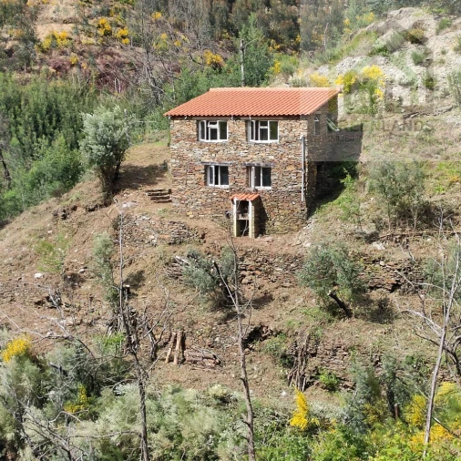 Quinta T1 para Venda em Benfeita Foto 2