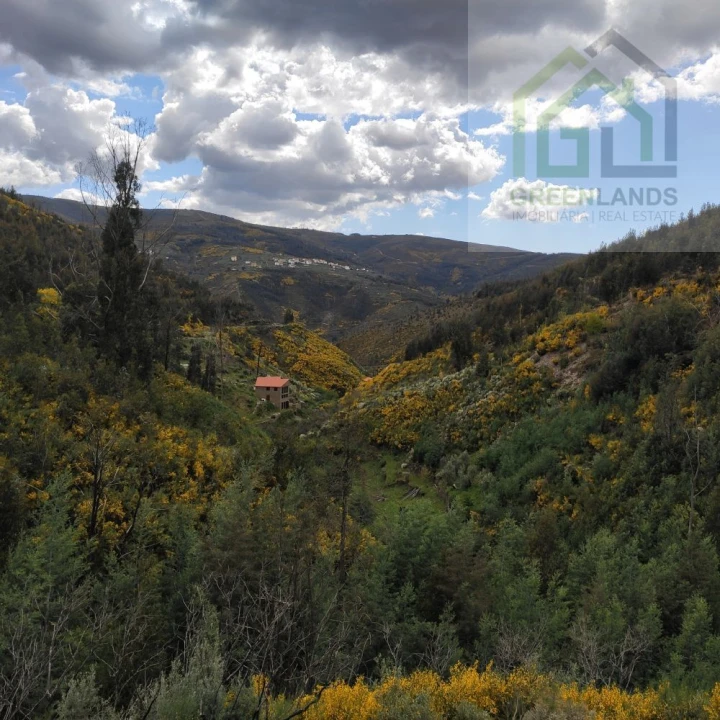 Quinta T1 para Venda em Benfeita Foto 4