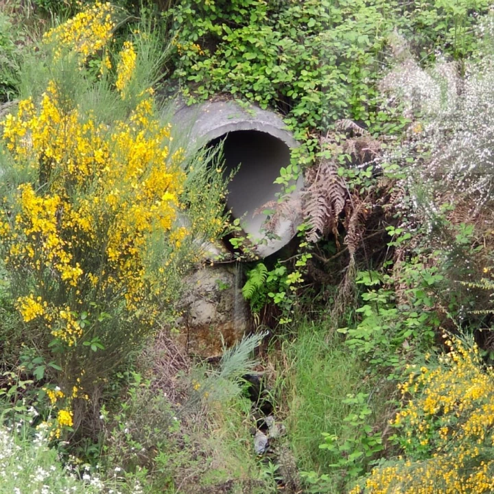 Quinta T1 para Venda em Benfeita Foto 9