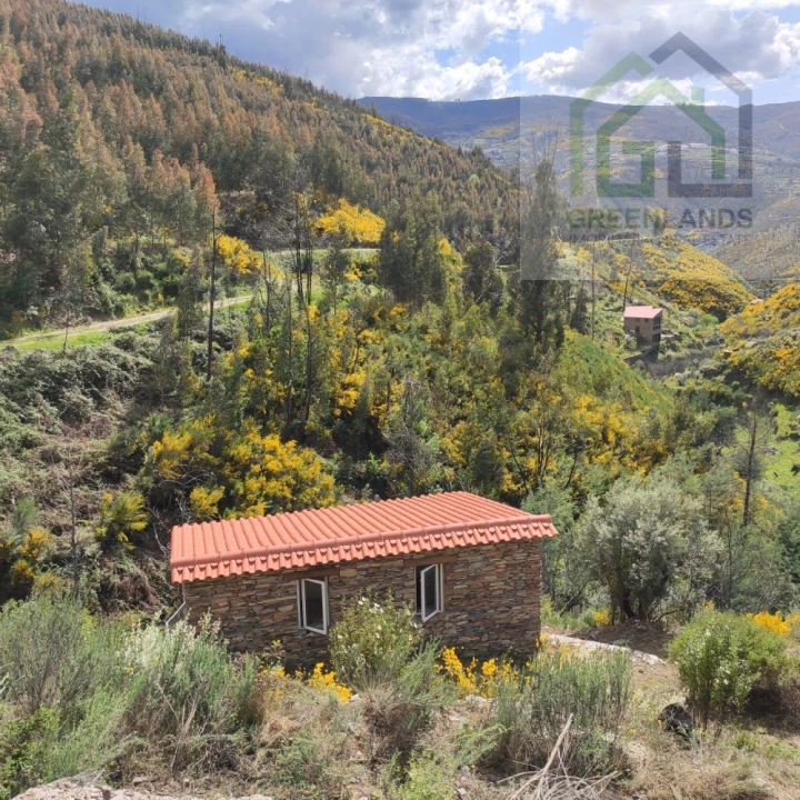 Quinta T1 para Venda em Benfeita Foto 3