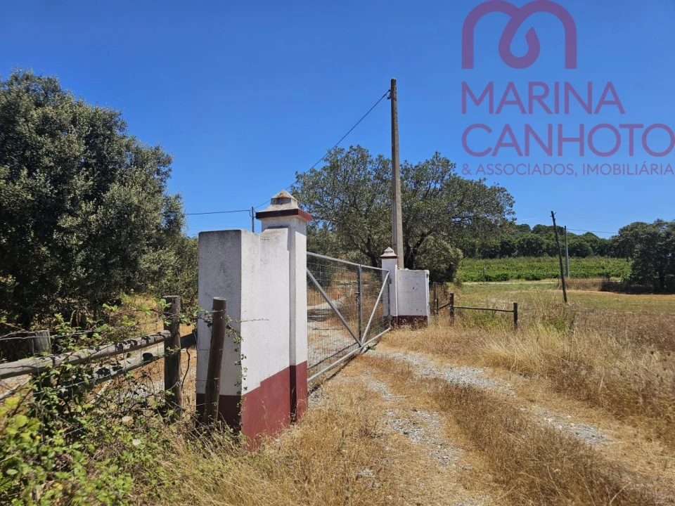 Terreno para Venda em Estremoz (Santa Maria e Santo André) Foto 6