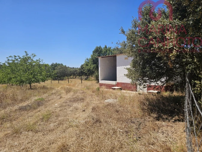 Terreno para Venda em Estremoz (Santa Maria e Santo André) Foto 23