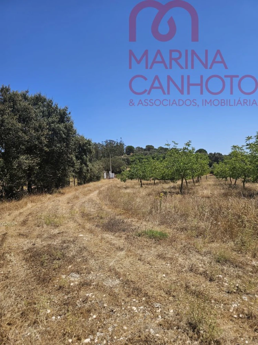 Terreno para Venda em Estremoz (Santa Maria e Santo André) Foto 7