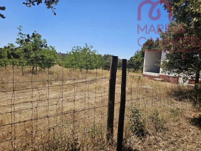 Terreno para Venda em Estremoz (Santa Maria e Santo André) Foto 24