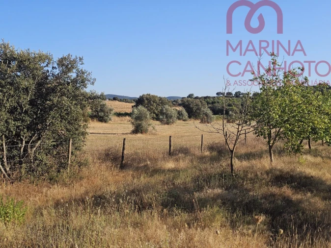 Terreno para Venda em Estremoz (Santa Maria e Santo André) Foto 26