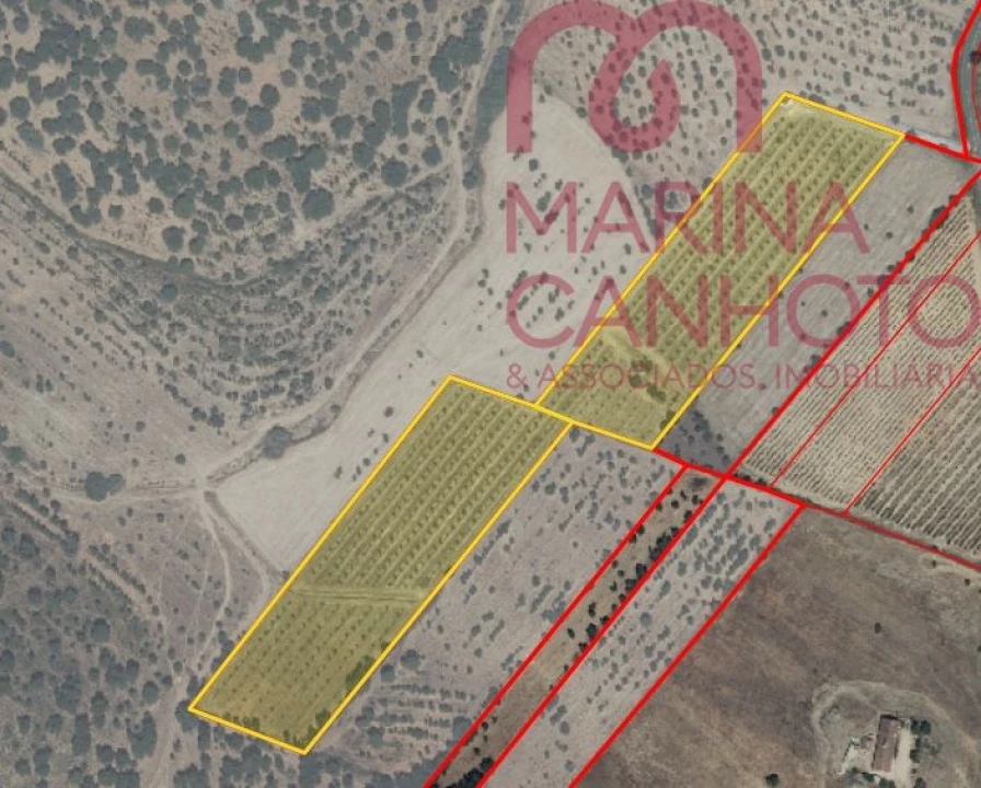 Terreno para Venda em Estremoz (Santa Maria e Santo André) Foto 1