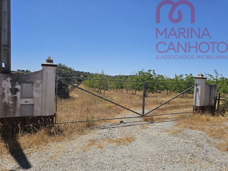 Terreno para Venda em Estremoz (Santa Maria e Santo André) Foto 2