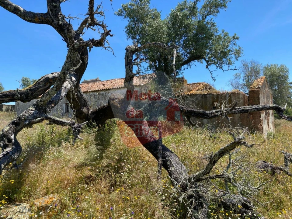 Quinta T2 para Venda em São Francisco da Serra Foto 8