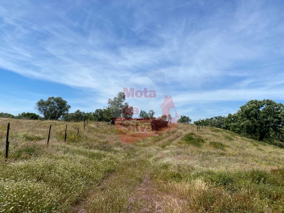 Quinta T2 para Venda em São Francisco da Serra Foto 14