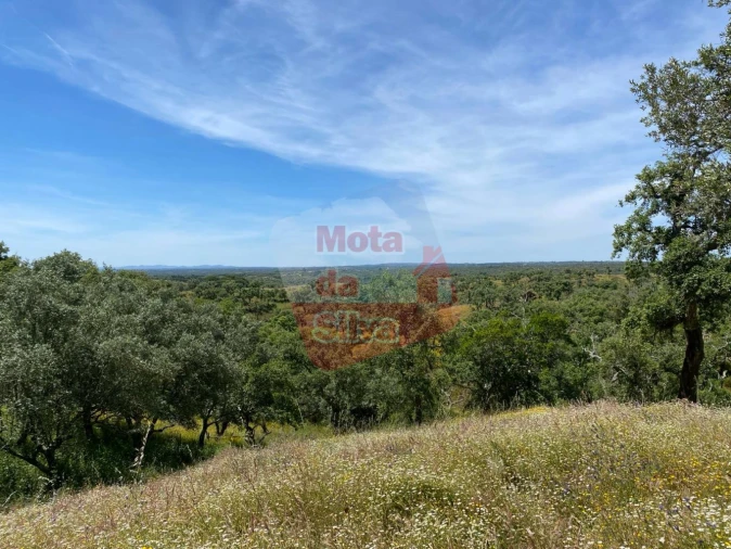 Quinta T2 para Venda em São Francisco da Serra Foto 16