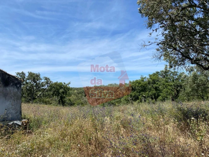 Quinta T2 para Venda em São Francisco da Serra Foto 11