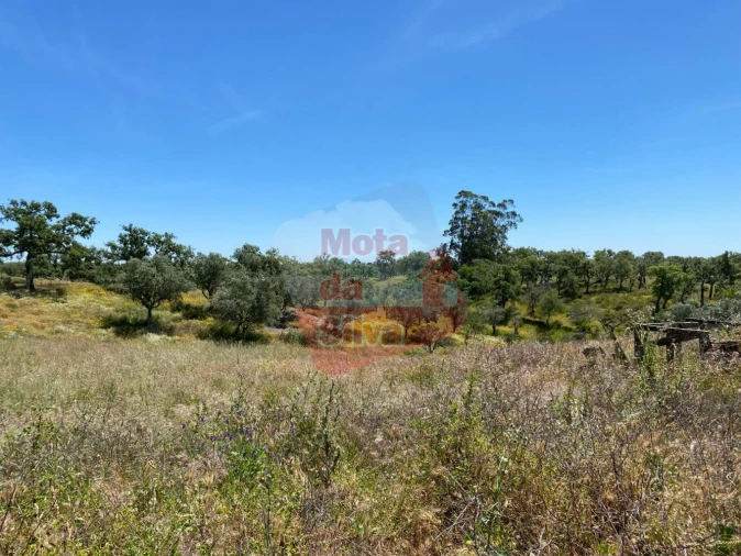 Quinta T2 para Venda em São Francisco da Serra Foto 13