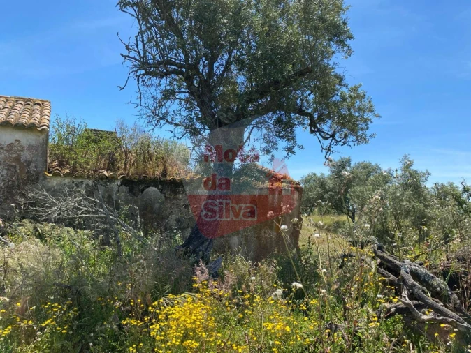 Quinta T2 para Venda em São Francisco da Serra Foto 9