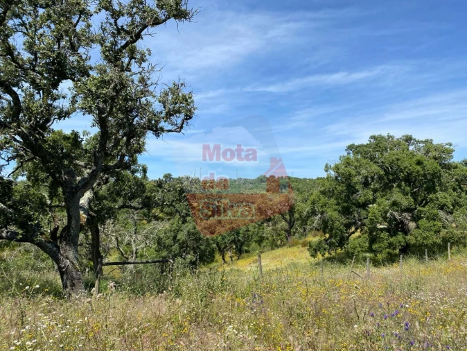 Quinta T2 para Venda em São Francisco da Serra Foto 17