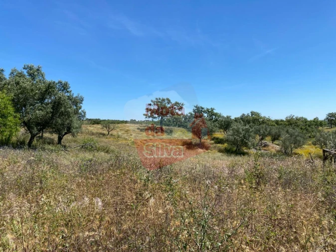 Quinta T2 para Venda em São Francisco da Serra Foto 15