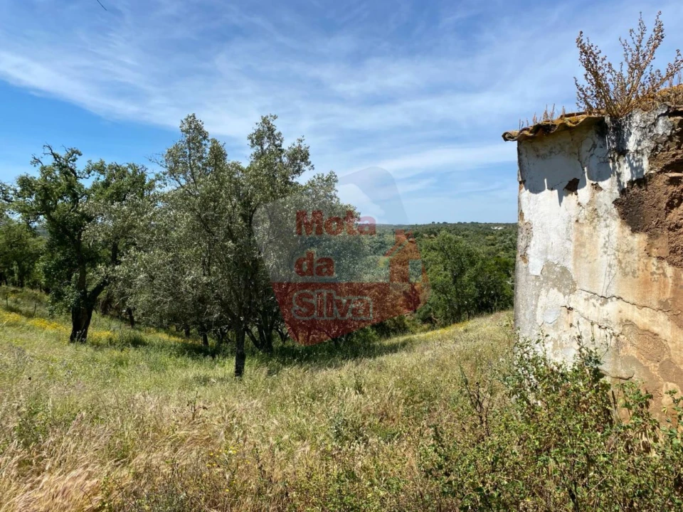 Quinta T2 para Venda em São Francisco da Serra Foto 10