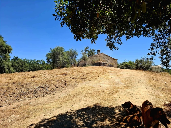 Terreno para Venda em Reliquias