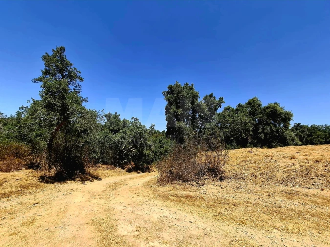 Terreno para Venda em Reliquias Foto 4