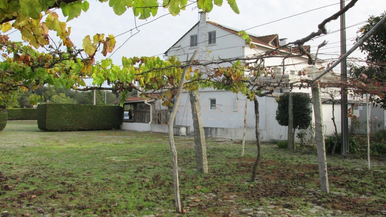 Negócio para Venda em Gondarem Foto 6