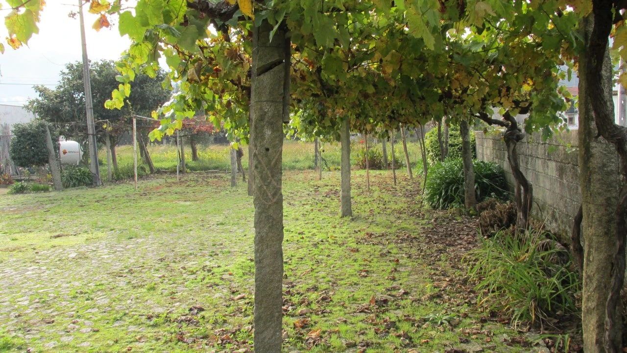 Negócio para Venda em Gondarem Foto 7