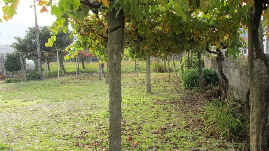 Negócio para Venda em Gondarem Foto 7