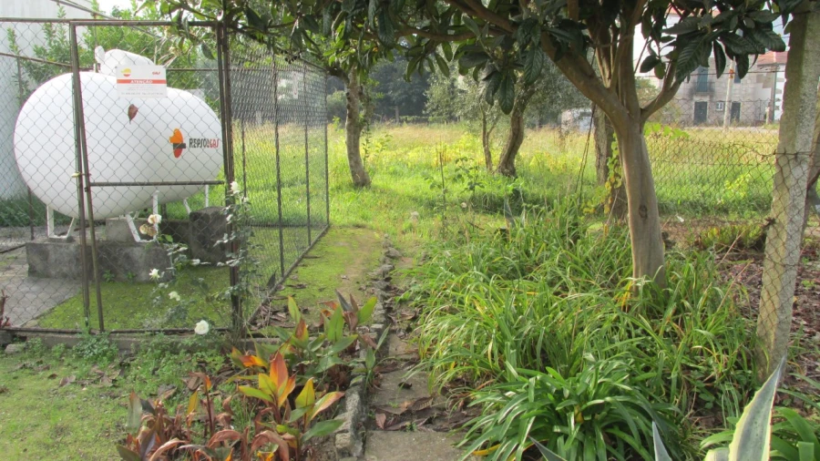 Negócio para Venda em Gondarem Foto 10