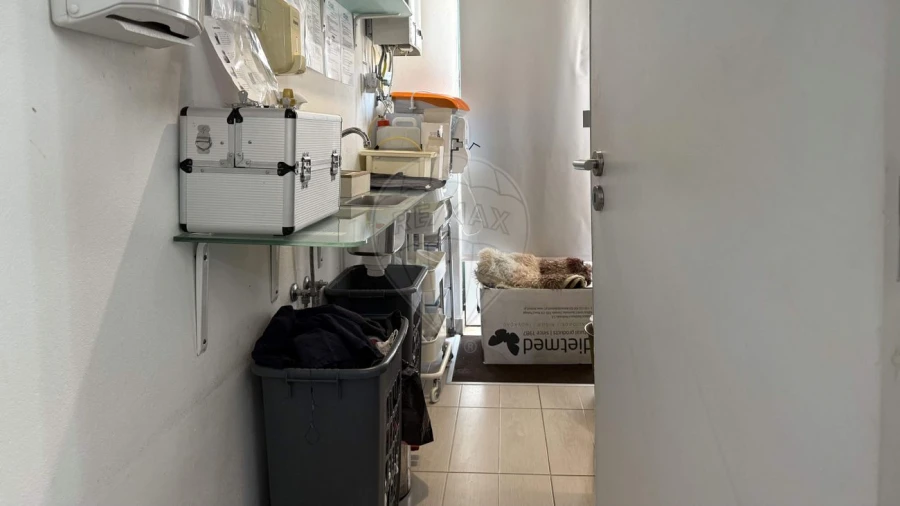 Negócio para Venda em Tocha Foto 19