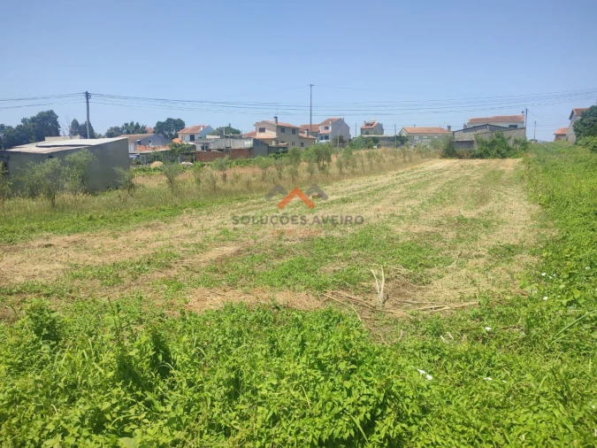 Terreno para Venda em Fermentelos Foto 2