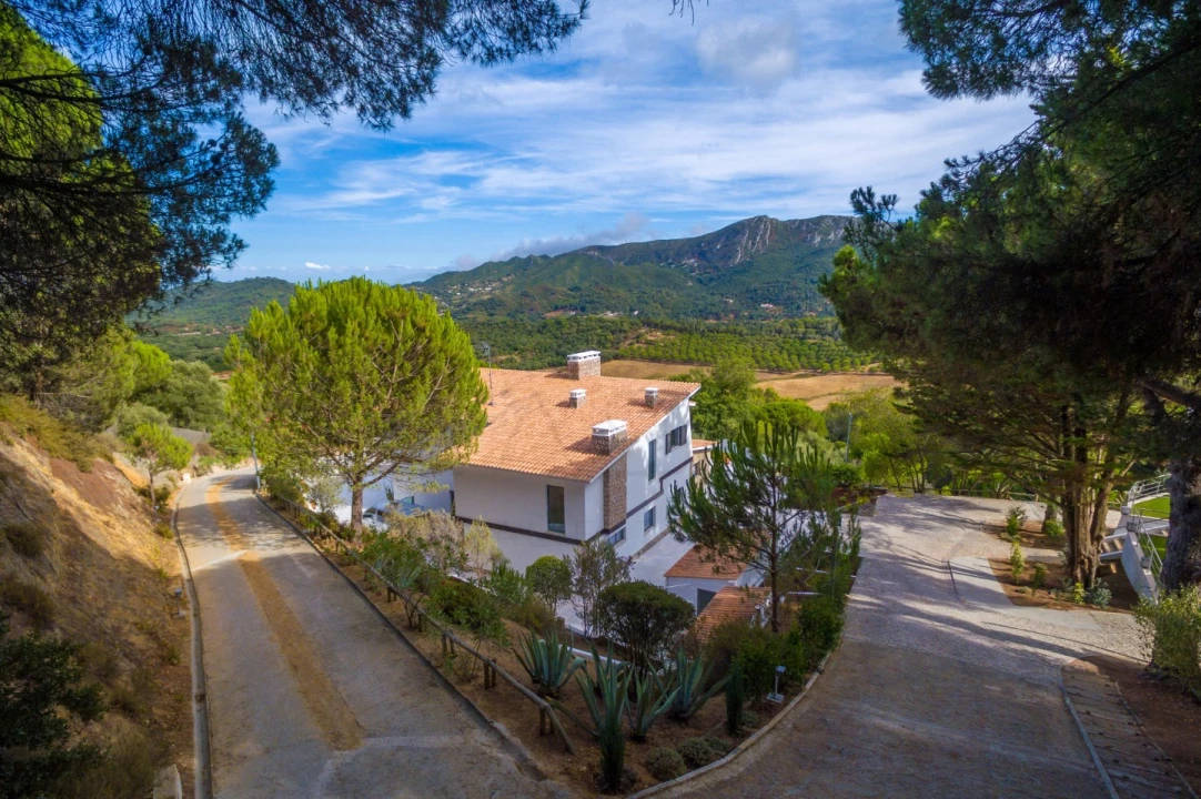 Moradia T8 para Venda em Azeitão (São Lourenço e São Simão) Foto 18