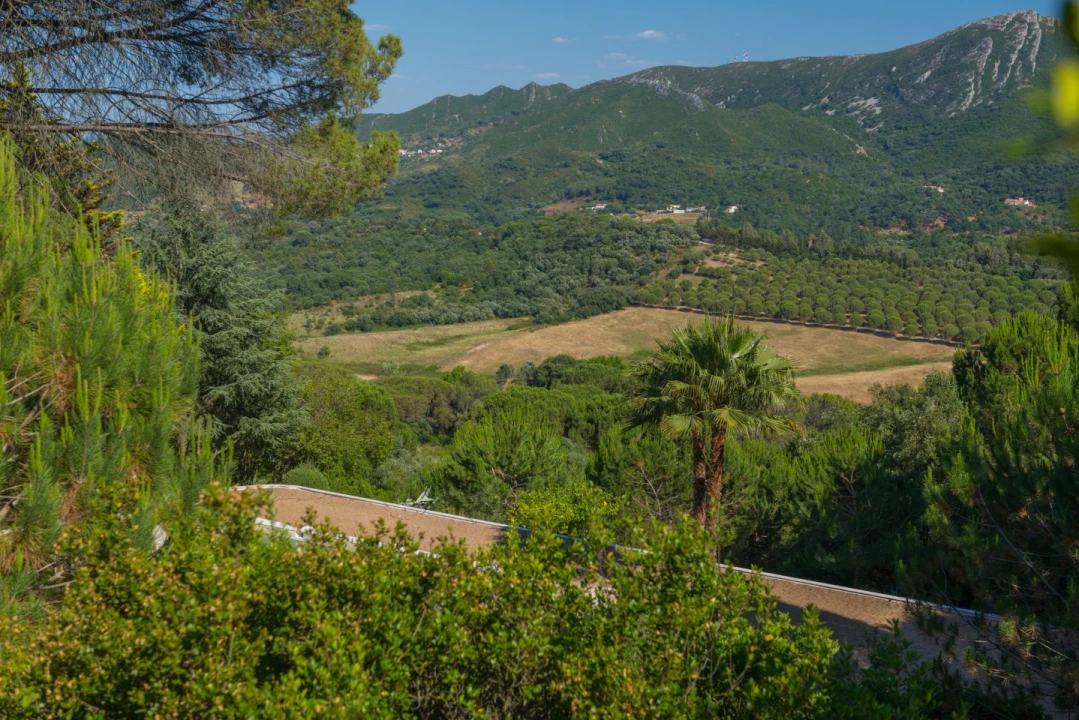 Moradia T8 para Venda em Azeitão (São Lourenço e São Simão) Foto 20