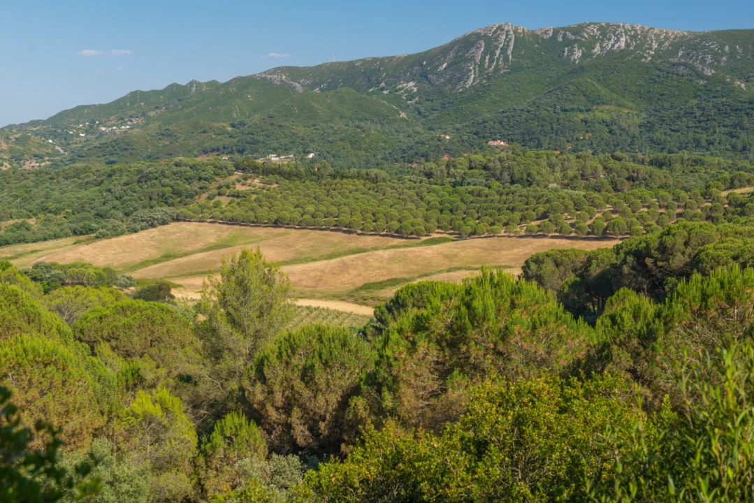 Moradia T8 para Venda em Azeitão (São Lourenço e São Simão) Foto 21