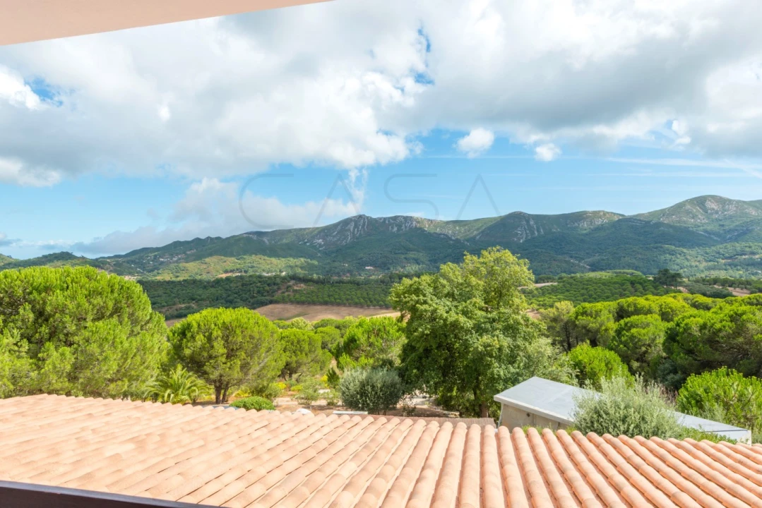 Moradia T8 para Venda em Azeitão (São Lourenço e São Simão) Foto 50