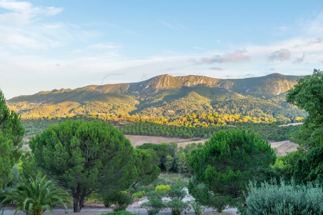 Moradia T8 para Venda em Azeitão (São Lourenço e São Simão) Foto 81