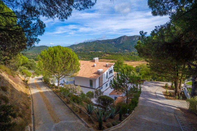 Moradia T8 para Venda em Azeitão (São Lourenço e São Simão) Foto 18