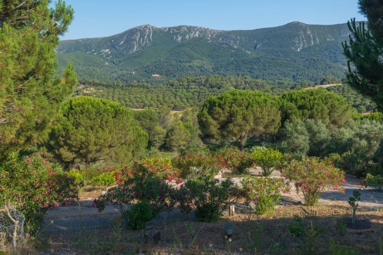 Moradia T8 para Venda em Azeitão (São Lourenço e São Simão) Foto 23