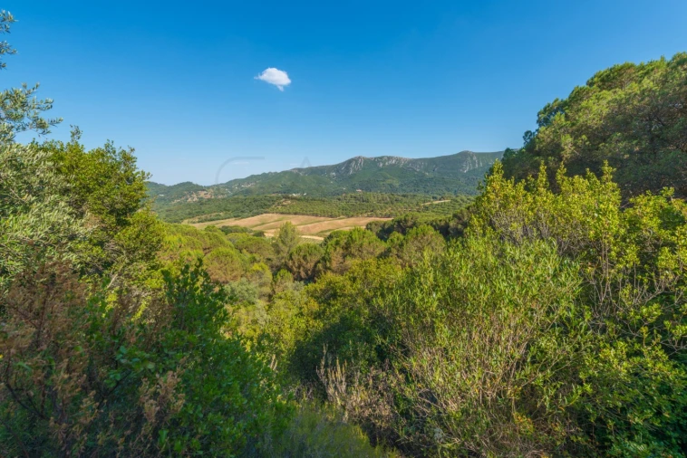 Moradia T8 para Venda em Azeitão (São Lourenço e São Simão) Foto 24